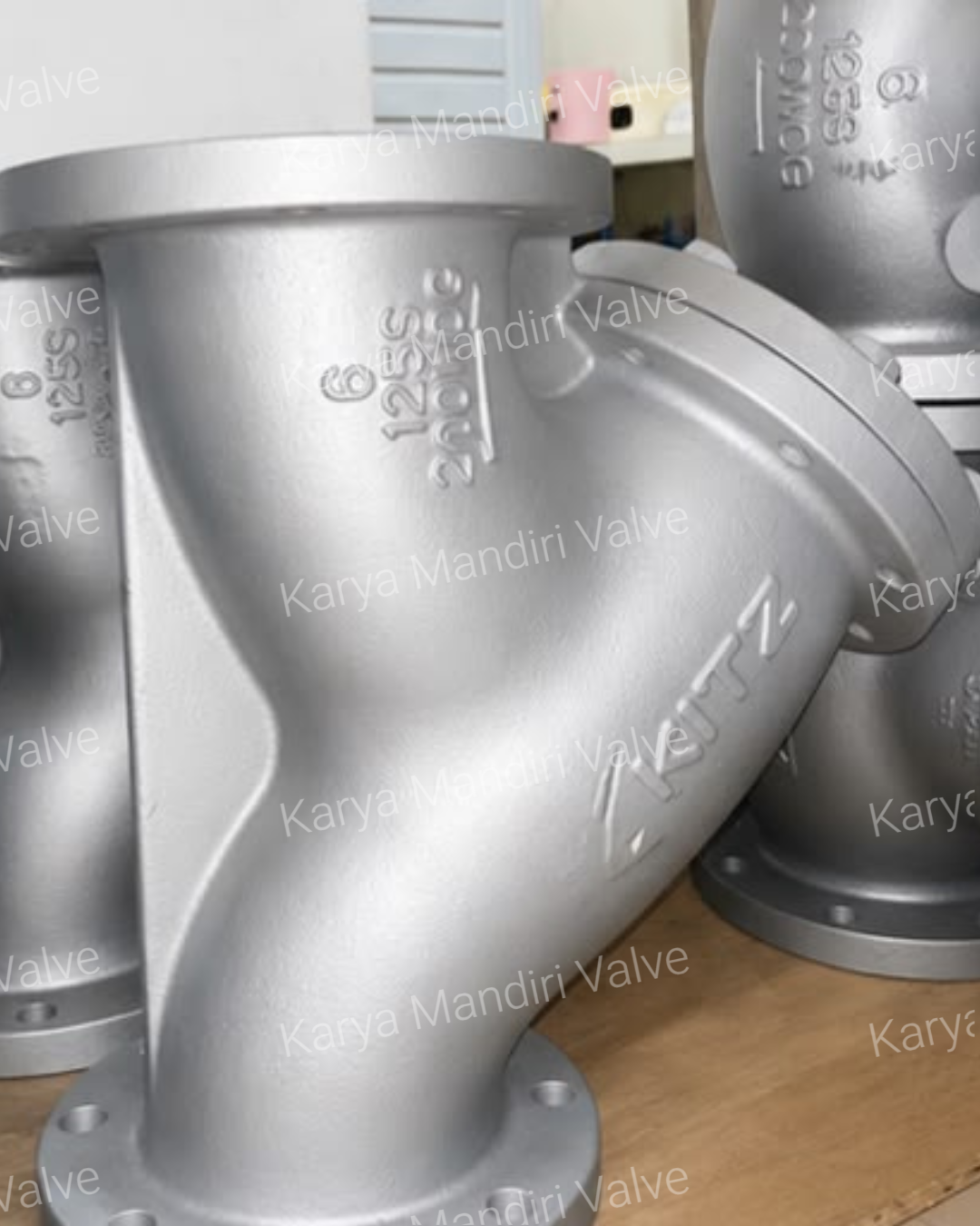 Y-Strainer